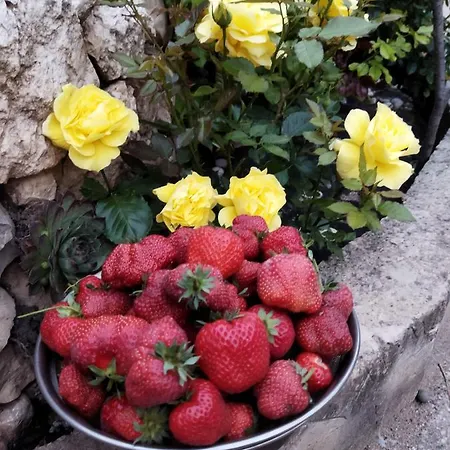 Irina 컨트리하우스