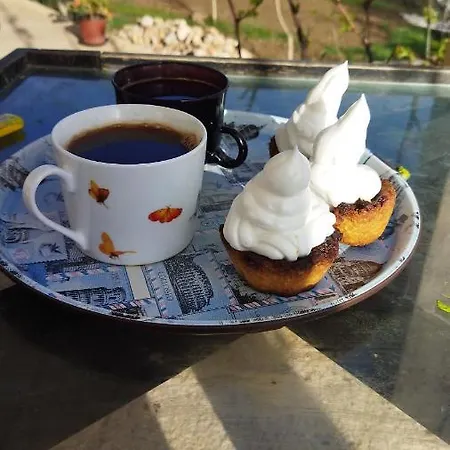 Country house Irina *