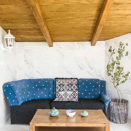 Country house Irina Soko Banja