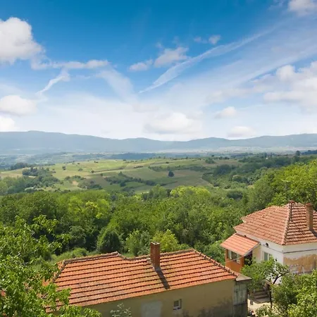 Irina Country house Soko Banja