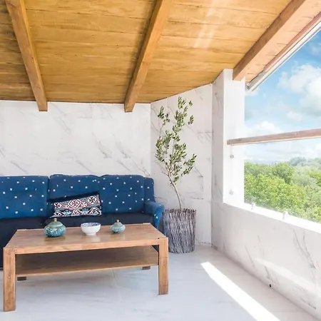 Irina * 소코 반자