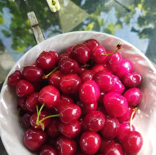 Εξοχικό σπίτι Irina *