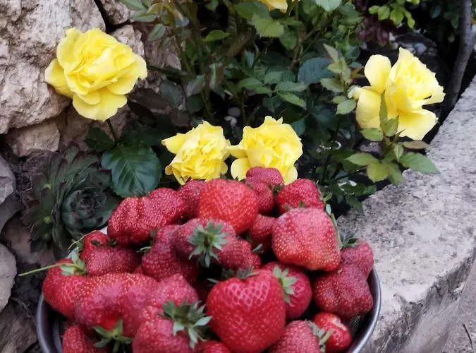 Irina Εξοχικό σπίτι