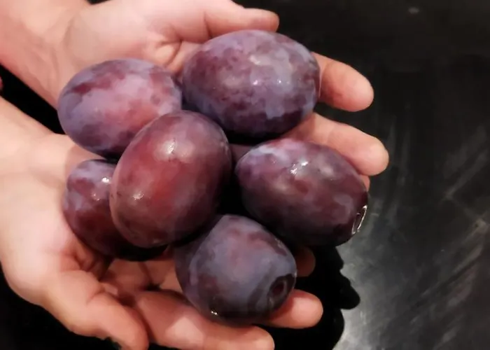 Irina Εξοχικό σπίτι *